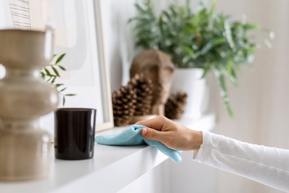dependable house cleaners in Metairie, LA