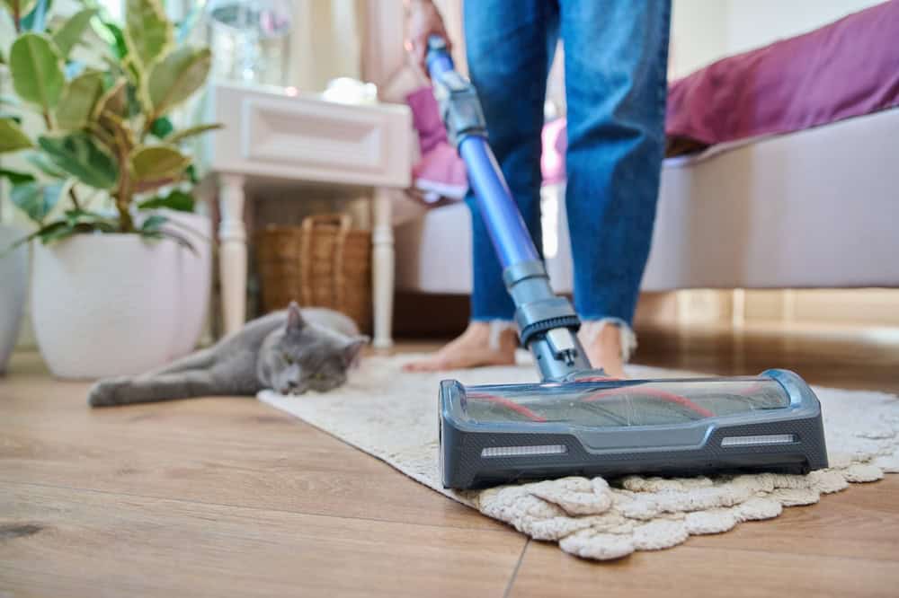 How can I prevent pet odors in the future