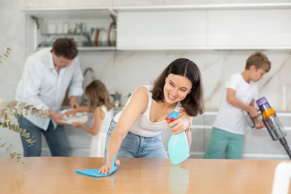 apartment cleaning baton rouge la